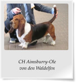CH Aimsburry-Ole von den Waldelfen